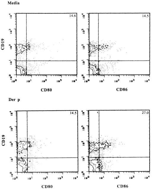 FIGURE 7. Expression of CD80 and CD86 by B cells in PBMCs from asthmatic subjects by FACS analysis. PBMCs from asthmatic subjects were stimulated with allergen for 6 days and stained with FITC mAbs to CD80 or CD86 and PE CD19. Isotype-matched Ig were used as a control. Representative data from three experiments are shown.
