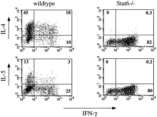 FIGURE 3. Stat6 is required for Tc2 differentiation in vitro. Splenocytes from wild-type and Stat6-deficient BALB/c mice enriched for CD8+ T cells were stimulated with plate-bound anti-CD3 in the presence of IL-4 and anti-IFN-γ. After 6 days in culture, CD8+ cells were restimulated with anti-CD3 and then analyzed by intracellular cytokine staining for IL-4, IL-5, and IFN-γ on day 14. Results shown are representative of three separate experiments.