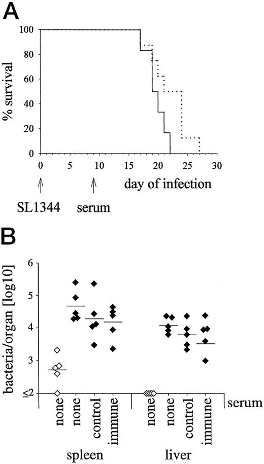 FIGURE 5. Treatment of CD28−/− mice with immune serum does not improve the response against S. typhimurium. A, CD28−/− mice were i.v. infected with 100 S. typhimurium strain SL1344. After 9 days mice were treated with 0.5 ml (i.p.) of either normal mouse serum (solid line) or serum from mice infected with 5 × 105 S. typhimurium strain SL7207 on day −50 (dotted line). Survival was recorded daily. Groups consisted of six (control serum) and eight mice (immune serum). Mean survival times were 19.5 days for mice that received control serum and 22.5 days for mice that received immune serum. Survival curves were not significant different (p > 0.05, with the log-rank test). The experiment shown is representative of two independent experiments. B, CD28+/+ (⋄) and CD28−/− mice (♦) were i.v. infected with 5 × 105 S. typhimurium strain SL7207. On day 32 mice received 0.5 ml of either control or immune serum. Mice were killed on day 40, and bacterial loads of spleen and liver were determined. Comparison of bacterial titers from untreated, control serum-treated, and immune serum-treated CD28−/− mice resulted in p > 0.1 for both liver and spleen. The experiment shown is representative of two independent experiments.