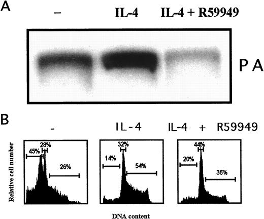 FIGURE 7. The DGKα inhibitor R59949 prevents IL-4-induced DGK activation and cell cycle entry in CTLL-2 cells. Exponentially growing CTLL-2 cells were washed twice and resuspended in IL-2- and serum-free medium. Resting cells (after 8 h of IL-2 starvation) were either preincubated for 15 min with 0.01% DMSO or with 1 μM R59949 before stimulation with recombinant IL-4 (10 ng/ml). A, DGK activity was assayed as described for Fig. 1. The quantitation of PA was determined by ascending TLC and autoradiography. The band comigrating with the PA standard on the TLC plate is shown. B, Cell cycle distribution was analyzed by propidium iodide staining as in Fig. 2. Similar results were obtained in three independent experiments.