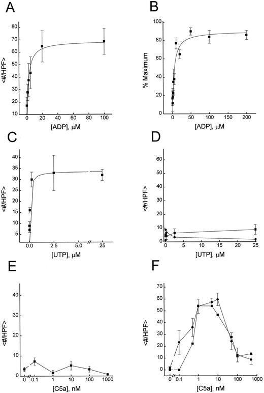 FIGURE 2. Concentration-response curves for chemotaxis of rat BMMC and J774 cells toward ADP (A and B), UTP (C and D), and complement fragment C5a (E and F). Rat BMMC shown in A, C, and E and J774 cells in B, D, and F. Ordinate gives the average number of cells per “high power field” (<#/HPF>) or the percent of maximum response for action of ADP on J774 cells. For each experiment, the number of cells per 1000× microscopic field was averaged for triplicate wells. Each point represents mean ± SE of experiments conducted on 3–12 different days, except for E, which gives results of four to six replicates from one experiment. D, ▪, standard filters; •, laminin-coated filters. Response to 10 nM C5a was 61 and 43 cells/HPF without and with laminin, respectively. E, Laminin-coated filter. F, ▪, chemokinetic response to various concentrations of C5a (average of two experiments).