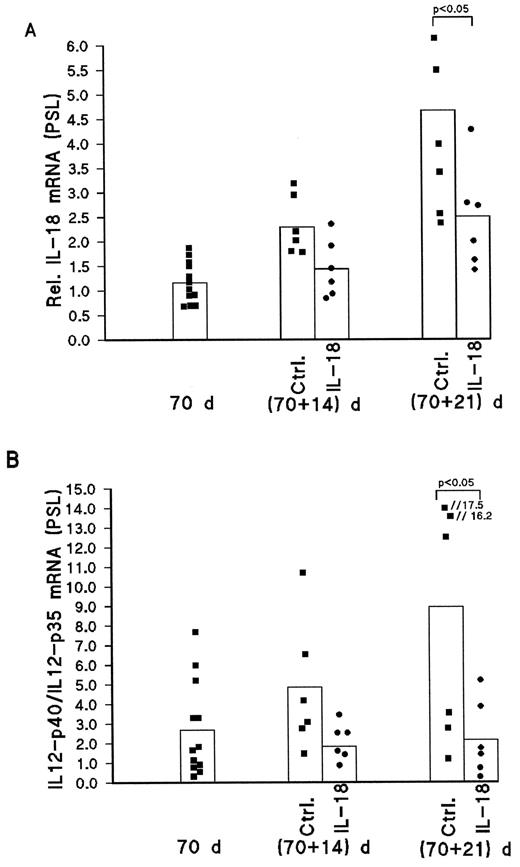 FIGURE 4. RT-PCR analysis of IL-18 and IL-12 p40/p35 subunits in the pancreata of NOD mice at days 14 and 21. The relative quantities of the RT-PCR signal for IL-18 (A) and IL-12p40/p35 (B) are shown as determined by PSL followed by normalization to the signals of RT-PCR of the β-actin mRNA of individual control NOD (▪) and IL-18-treated NOD (•) mice. The single bars give the mean values of each group.