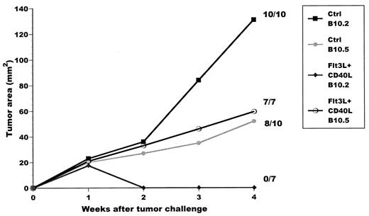 FIGURE 2. B10.2 and B10.5 tumor growth in irradiated mice that had previously rejected the B10.2 tumor after treatment with Flt3L + CD40L. Control mice that had never been inoculated with tumors before irradiation or mice that had rejected the B10.2 tumor upon treatment with Flt3L + CD40L were irradiated at 500 R per animal and challenged with 5 × 105 B10.2 and 5 × 105 B10.5 tumor cells on the left and right sides of the abdomen, respectively. The tumor size represents the average of only those mice bearing tumors within each treatment group. The number of tumor-bearing mice over the total number of mice challenged is also shown for the last time point.