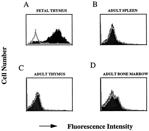 FIGURE 2. Expression of the molecule recognized by DMF10.62.3 on normal murine fetal and adult cells. Cells from day 14 fetal thymus (gated on Thy1.2-positive cells only; A), total adult spleen (B), total adult thymus (C), or total adult bone marrow (D) were stained with DMF10.62.3 (filled curve) or control hamster IgG (open curve) followed by FITC-goat anti-hamster Ab. Data are representative of three independent experiments.