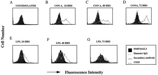 FIGURE 3. Expression of the molecule recognized by DMF10.62.3 on activated T and B cells. Splenic T cells were activated with 1 μg/ml Con A and stained at 24 h (B), 48 h (C), or 72 h (D). Splenic B cell were activated with 10 μg/ml LPS and stained at 24 h (E), 48 h (F), or 72 h (G). Staining of unstimulated, freshly harvested cells is shown in A. Cells were stained for DMF10.62.3, hamster IgG, secondary Ab alone, or CD25. All curves superimpose, except for CD25 in B–G. Dead cells were gated out using PI. Data are representative of three independent experiments.