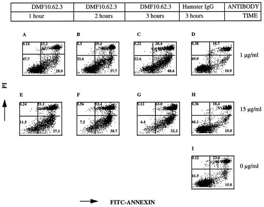 FIGURE 5. Induction of apoptosis of E710.2.3 by DMF10.62.3. E10.2.3 cells were treated with either 1 μg/ml of DMF10.62.3 (A–C) or hamster IgG (D) or with 15 μg/ml of DMF10.62.3 (E–G) or hamster IgG (H) or with no Abs (I). Cells were then analyzed at 1 h (A and E), 2 h (B and F), or 3 h (C, D, G, H, and I) after treatment. Cells were stained for FITC-annexin and PI as described in Materials and Methods. Data are representative of three independent experiments.