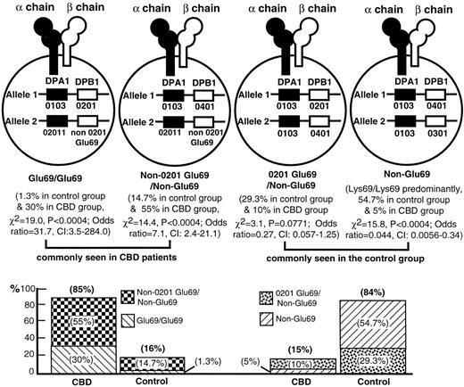 FIGURE 2. Schematic risk estimation of individuals with typical allele combinations in their HLA-DPB1 and DPA1 genes commonly seen in CBD (left two) and in controls or in the total population (right two). All filled symbols represent HLA-DPA1 genes and their protein products, α-chains, while all open symbols represent HLA-DPB1 genes and their protein products, β-chains. The p values in columns 1, 2, and 4 were corrected for four different HLA-DPB1 haplotype categories.