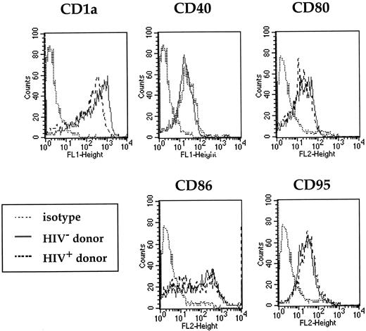 FIGURE 4. Phenotypic profile of DC from HIV+ and HIV− patients. Monocyte-derived DC were stained with Ab that recognize the following cell markers: anti-CD1a-FITC, -CD40-FITC, -CD80-PE, -CD86-PE, and -CD95-PE, or with isotype-matched Ab (γ1-FITC and γ2-PE), for 30 min at 4°C. Surface expression was determined by FACS analysis. Each experiment consisted of one HIV+ donor and one HIV− donor, whose DC were derived and stained in parallel. Data are representative of five experiments. No differences in phenotype were observed between cells derived from HIV+ and HIV− donors (all p > 0.05, by Wilcoxon signed rank test).