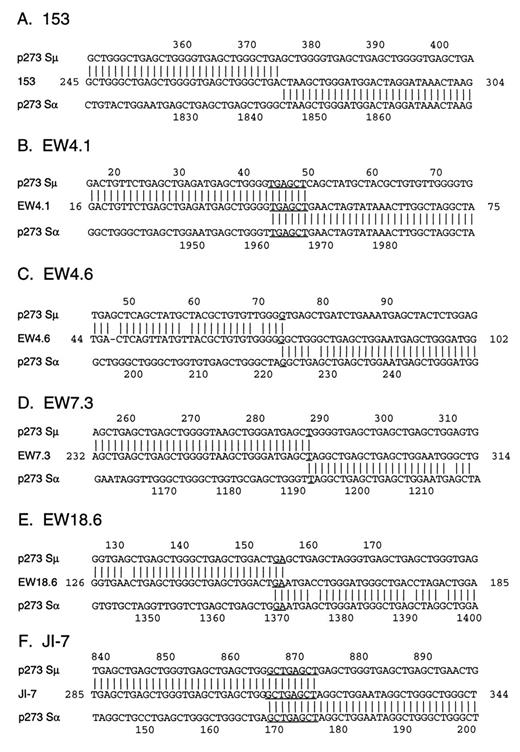 FIGURE 5. Compilation of nucleotide sequences of six Sμ-Sα junctions in p273 from stably transfected I.29μ cells. A, The 153 sequence near the Sμ-Sα junction in comparison with the p273 Sμ and Sα sequences. The sequence is from 3 independent PCRs. ‖, Sequence identities between the compared sequences. The entire Sμ sequence is presented in Fig. 6A. B, EW 4.1 sequence (GenBank accession no. AF069381) is from two independent PCRs from clone EW 4 (A. Shanmugam and A. L. Kenter, data not shown). The 6 nt that are identical between the Sμ and Sα sequences are underlined. C–F, Sequences surrounding Sμ-Sα junctions (GenBank accession nos. AF069382 (EW4.6), AF069383 (EW7.3), AF069384 (EW18.6), and JI-7 (AF069379)) are of products from a single PCR performed on p273 transfected clones EW 4, EW 18, EW 7, and JI (A. Shanmugam and A. L. Kenter, data not shown). Nucleotides identical between the Sμ and Sα sequences at the junctions are underlined. The numbering of Sμ starts at −44 relative to the SacI site of the p273 Sμ segment (=nt 5271 of MUSIGCD07). The numbering of Sα is according to the p273 sequence (GenBank accession no. AF069385).