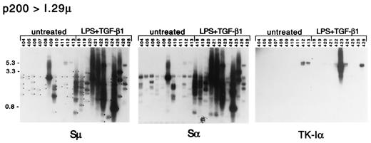 FIGURE 7. Southern blot analysis of PCR products from I.29μ transfected with p200 and left untreated or treated with LPS plus TGFβ. Methods are same as for Fig. 3. The 5.3-kb full-length Sμ-TK-Sα segments are indicated and so is the position of the maximal size expected for direct Sμ-Sα recombinant (3.3 kb). Dots on the Sμ blot mark bands that hybridize with the Sμ and Sα probes, but not with the TK-Iα probe.