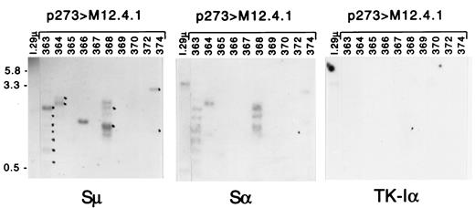 FIGURE 9. Southern blot of PCR products from M12.4.1 B lymphoma cells transfected with p273 and PCR products from untransfected I.29μ cells. The left-most lanes in each blot show PCR products from untransfected I.29 cells, 50% of which had switched to expression of IgA. The remainder of the gel contains p273-transfected M12.4.1 cells, not treated with inducers of class switching. Fragments that were detected by both the Sμ and Sα probes but not with the TK-Iα probe are indicated with a dot on the Sμ blot. Methods are the same as for Fig. 3, except the Sμ blot was hybridized with 5 × 106 cpm. To achieve an autoradiographic exposure equivalent to or greater than those in all other figures in the manuscript, the duration of autoradiography was increased to 70 h, which is 12- to 23-fold longer than that used for all other blots. See Fig. 3 for a direct comparison of the relative signal intensities of the PCR products from p273-transfected M12.4.1 and I.29μ clones. An irrelevant lane between the I.29μ and p273-transfected M12.4.1 samples was excised from the photos. Clones analyzed here are the same clones as shown in Fig. 2: (1 = 363, 2 = 364, etc.).