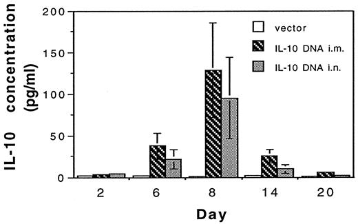 FIGURE 4. IL-10 protein expression in serum after i.n. or i.m. treatment of IL-10 DNA. Groups of mice were given either i.m. or i.n. 200 μg of plasmid DNA encoding IL-10 or vector DNA. At different time points, serum samples were collected from the mice and individually analyzed for the presence of IL-10 protein by a standard ELISA assay. The graph represents mean concentration ± SD from at least four different samples.