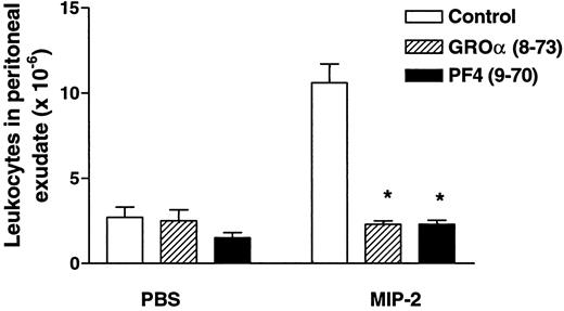 FIGURE 9. Inhibition of leukocyte recruitment in a murine model of peritonitis. Mice were injected i.p. with either 1 ml of PBS or 1 ml of either GROα(8–73) or PF4(9–70) (both at 250 μg/ml). Five minutes later, mice were injected i.p. with 1 ml of either endotoxin-free PBS or MIP-2 (1 μg/ml). The peritoneal exudate was collected 2 h later, and the cells were counted as described in Materials and Methods. Data points depicted in this figure represent the mean ± SEM of values obtained from at least five mice. ∗, Significantly different from control values at p < 0.05 (unpaired two-way ANOVA).