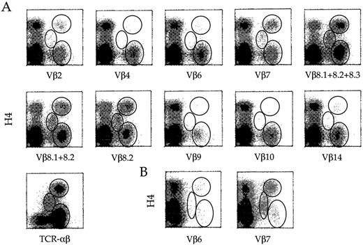FIGURE 2. Preferential expression of Vβ2+, Vβ7+, and Vβ8+ TCR in H4int and H4high thymic T cells. BALB/c CD4 SP+DN thymocytes (A) or DBA/2 CD4 SP+DN thymocytes (B) were obtained and stained with combinations of anti-Vβ or anti-TCR-αβ/appropriate FITC-anti-IgG and biotinylated anti-H4 mAb/avidin-PE. Samples of 100,000 viable cells were analyzed by an Epics CS flow cytometer. In B, profiles of staining for representative Vβ and H4 are shown. Data show typical results from one of three experiments.