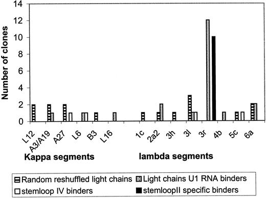 FIGURE 3. Light chain V gene usage of reshuffled scFvs. The light chain V gene usage is shown for nonselected scFvs (random reshuffled light chains; V1–V15 in Table II), for U1 RNA binding scFvs (II-3.1–II-3.9, II-7.1–II-7.8, V16–V19), for scFvs specifically binding to stem loop II of U1 RNA and of scFvs binding to stem loop IV but not to stem loop II (designated stem loop IV binders).