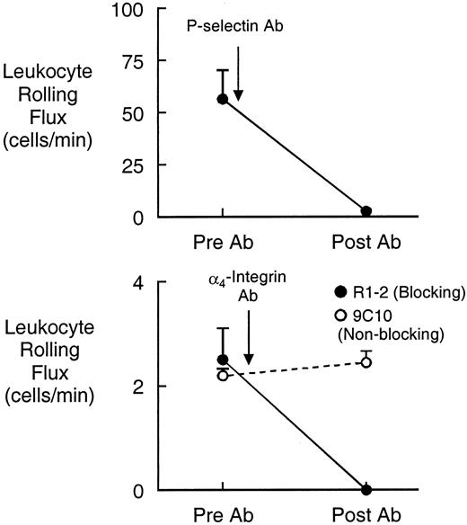 FIGURE 6. Effect of acute adhesion molecule blockade on leukocyte rolling flux in IL-4-treated cremasteric postcapillary venules (100 ng, 24 h, n = 7). Blockade of P-selectin (upper panel) reduced leukocyte rolling dramatically, but some leukocyte rolling persisted. This residual rolling (lower panel, note change in scale) was dependent on the α4 integrin, as it was inhibited by the function-blocking α4 integrin Ab, R1-2 (•), but not by the nonblocking control α4 integrin Ab, 9C10 (○).