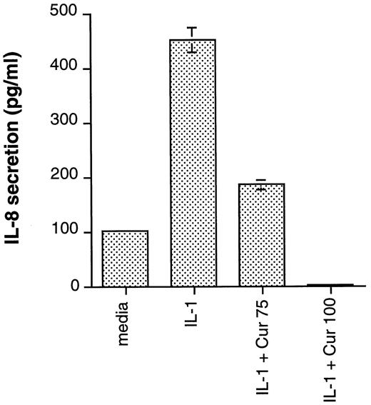 FIGURE 2. Caco-2 cells were pretreated with curcumin (75 and 100 μM) or medium alone for 45 min and then stimulated with IL-1β (2 ng/ml) or medium alone for 12 h. Immunoreactive IL-8 concentrations were measured from cell supernatants using an ELISA technique. These results are expressed as the mean ± SEM of triplicate experiments. These results are representative of two different experiments.
