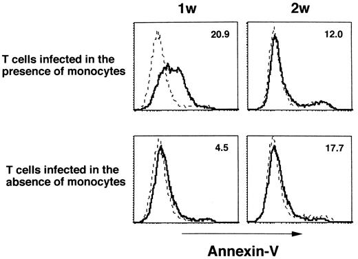 FIGURE 4. Influence of monocytes on HTLV-I-infected T cell apoptosis. T cells from a healthy donor were infected with HTLV-I in the presence or absence of monocytes. One and two weeks (w) after infection, T cells were purified, stimulated with CD3 mAb, and stained with annexin V. – – – –, annexin V staining of cells before CD3 mAb stimulation; ——, annexin V staining of cells after the stimulation. The number represents the difference in mean fluorescence intensity between – – – – and ——. A representative of three independent experiments is shown.