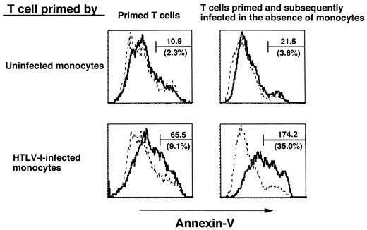 FIGURE 7. Priming effect of HTLV-I-infected monocytes on HTLV-I-infected T cell apoptosis. Monocytes were infected with HTLV-I by cocultivating them with MT-2 cells in the presence of 20% FCS. The virus-infected or uninfected monocytes (5 × 105/ml) were treated with mitomycin C and cocultured with autologous uninfected T cells (1 × 106/ml) for 7 days. The cocultivated T cells were stimulated with CD3 mAb or were infected with HTLV-I after complete elimination of CD14+ monocytes and subsequently stimulated with CD3 mAb. – – – –, annexin V staining of cells before CD3 mAb stimulation; ——, annexin V staining of cells after the stimulation. The number represents the difference in mean fluorescence intensity between – – – – and ——. The number in parentheses represents the percent positive cell number subtracted from background value. A representative of three independent experiments is shown.