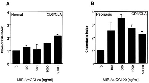 FIGURE 5. MIP-3α/CCL20-induced chemotaxis of skin-homing CLA+ T cells in normal and psoriatic donors. Enriched lymphocytes from either normal (A) or psoriatic donors (B) were analyzed in Transwell chemotaxis assays for their response to hCCL20. The number of CD3+/CLA+ migrating cells was determined, and chemotaxis indices were calculated from triplicate measurements. Representative data for one of three normal or psoriatic donors are shown.