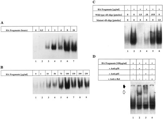FIGURE 2. HA fragments induce NF-κB activation in T-24 cells in a dose- and time-dependent manner. Confluent monolayers of T-24 cells were treated as follows. A, T-24 cells were treated with HA fragments (100 μg/ml) from 0 to 24 h as indicated (lanes 2–7). B, T-24 cells were treated with HA fragments from 1 to 250 μg/ml (lanes 2–9) or left untreated (lane 1) for 2 h as shown. C, Nuclear extracts from T-24 cells stimulated with HA fragments (100 μg/ml) for 2 h were incubated with 1.8, 0.18, or 0.018 pmol of unlabeled wild-type (lanes 3, 4, and 5) or 1.8 pmol mutant NF-κB probe (lane 6) for competition analysis (described in Materials and Methods). D, Nuclear extracts from T-24 cells treated with HA fragments (100 μg/ml) were incubated with antisera to p50, p65/Rel A, or c-Rel (lanes 3, 4, and 5, respectively) as indicated for supershift analysis. The position of supershifted complexes is indicated with an upper closed (p65) and lower open (p50) arrowhead. Nuclear extracts were assessed for NF-κB DNA-binding activity as described in Materials and Methods. Retarded protein-DNA complexes are shown; unbound DNA probe is not shown. Results are representative of three separate experiments in all cases, and the photographs shown are a composite from samples generated in the same experiment but analyzed on different gels under identical conditions.