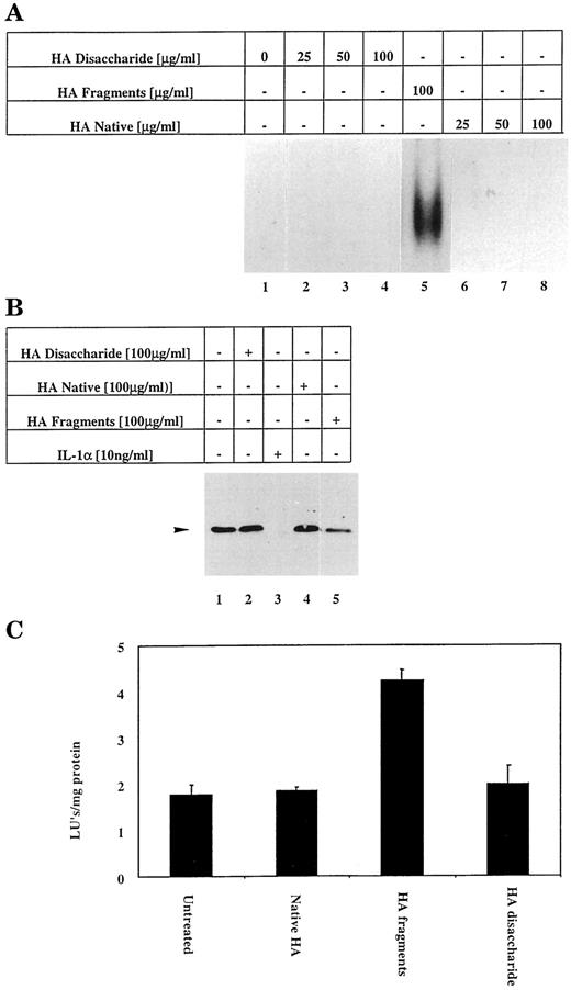 FIGURE 5. HA fragment induced NF-κB activation is size dependent. A, Confluent monolayers of T-24 cells were treated with medium alone (lane 1), HA disaccharide from 25 to 100 μg/ml (lanes 2–4), HA fragments (100 μg/ml) (lane 5), or native high molecular mass HA from 25 to 100 μg/ml (lanes 6–8) for 2 h. Nuclear extracts were prepared and assessed for NF-κB DNA-binding activity. Protein-DNA complexes are shown. Results shown are representative of three separate experiments, and the photographs shown are a composite from samples generated in the same experiment but analyzed on different gels under identical conditions. B, T-24 cells were left untreated (−) (lane 1) or treated with HA disaccharide (100 μg/ml) (lane 2), IL-1α (10 ng/ml) (lane 3), native high molecular mass HA (100 μg/ml) (lane 4), or HA fragments (100 μg/ml) (lane 5) for 2 h. Cell lysates were extracted and probed for total IκBα using a mAb that detects IκBα. A specific IκBα band of 37.5 kDa was detected. No other protein complexes except those shown were observed, and the photograph shown is a composite from samples generated in the same experiment but analyzed on different gels under identical conditions. C, T-24 cells were transiently transfected by electroporation with a κB-luciferase reporter gene (5 μg). Forty-eight hours following transfection, cells were incubated with native HA (100 μg/ml), HA fragments (100 μg/ml), HA disaccharide (100 μg/ml), or left untreated for 6 h. Cell lysates were prepared and analyzed for luciferase reporter gene activity and normalized for protein concentration. Results are mean ± SD for a single experiment (triplicate samples), which is representative of three separate experiments.