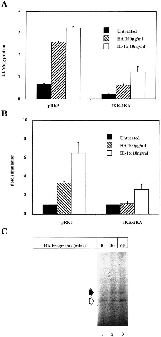 FIGURE 6. HA fragment-induced κB-dependent reporter gene expression is mediated through the IKK complex. T-24 cells were transiently transfected by electroporation with a κB-luciferase reporter gene (5 μg) and cotransfected with 10 μg expression vectors encoding dominant negative IKK-1 (IKK-1KA) (A) or IKK-2 (IKK-2KA) (B) or empty vector control (pRK5) as described in Materials and Methods. Forty-eight hours following transfection, cells were left untreated or incubated with HA fragments (100 μg/ml) or IL-1α for 6 h. Cell lysates were prepared and analyzed for luciferase reporter gene activity and normalized for protein concentration, as described in Materials and Methods. For IKK-2KA, results represent mean fold-stimulation over empty vector control ± S.E.M. for five experiments with triplicate determinations. For IKK-1KA, results represent mean light units/mg protein ± SD for a single experiment (performed in triplicate) and is representative of three separate experiments. C, Confluent monolayers of T-24 cells (10-ml petri dish) were treated with HA fragments (150 μg/ml) for 15, 30, or 60 min before preparation of whole-cell lysates. Whole-cell lysates were subjected to immunoprecipitation with anti-NEMO Ab. Kinase activity of NEMO immunoprecipitates was assessed by means of the immune complex kinase assay as detailed in Materials and Methods. Phosphorylation of GST-IκBα is indicated by an open arrowhead (30 kDa). The identification of the protein indicated by a closed arrowhead is unknown, but could be NEMO, which becomes phosphorylated during activation (∼48 kDa).