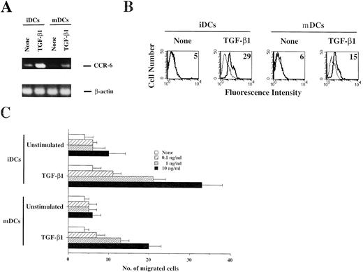 FIGURE 8. Effect of TGF-β1 on chemotactic migratory capacity of iDCs in response to MIP-3α via CCR-6. iDCs or mDCs (2 × 107) were unstimulated or stimulated with TGF-β1 (10 ng/ml) for 3 days. A, RNA was extracted, and the expression of CCR-6 mRNA was determined by RT-PCR. PCR products for CCR-6 (1021 bp) and β-actin (645 bp) are shown. The results of RT-PCR for β-actin demonstrate the loading of equal amounts of DNA on the gel. B, The cells were stained with stated mAbs (thick lines) or isotype-matched mAb (thin lines). Cell surface expression was analyzed by FACS. The values shown in the flow cytometry profiles are MFI, and the value of the background PE staining was less than 8. C, The cells (106) were seeded on the filters precoated on the lower surface with 5 μg of gelatin. MIP-3α (0.1–10 ng/ml) used as chemoattractant was added to the lower chamber. After a 2-h incubation, the cells that migrated to the lower surface were visually counted. The results are representative of three experiments with similar results.