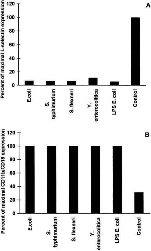 FIGURE 4. LP from different Gram-negative bacteria down-regulates L-selectin and up-regulates CD11b/CD18. Purified human neutrophils were treated with 100 ng/ml of either LP purified from different Gram-negative bacteria or E. coli LPS (100 ng/ml), and the MFI values corresponding to L-selectin and CD11b/CD18 were determined. The results are expressed as percentage of maximal L-selectin expression (A) and percentage of maximal CD11b/CD18 expression (B) vs LP from different bacteria or LPS. This is a representative example of three independent experiments. L-selectin maximal MFI = 33 ± 5. CD11b/CD18 maximal MFI = 600 ± 103.