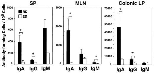 FIGURE 2. Comparison of the numbers of Ab-forming cells in systemic and mucosal lymphoid tissues from ED- or RD-fed TCR α−/− mice. Mononuclear cells isolated from spleen (SP), MLN, and colonic LP of TCR α−/− mice fed ED or RD were examined by isotype-specific ELISPOT assay. All RD-fed mice examined suffered from IBD. Data are expressed as the mean values of five different mice. SDs are indicated. ∗, Significantly different from each other (p < 0.05) by Student’s t test.