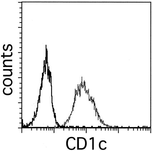 FIGURE 5. The BDCA-1-specific mAb AD5-8E7 blocks binding of the CD1c mAb M241 to MOLT-4 cells. MOLT-4 cells were preincubated with saturating amounts of AD5-8E7 mAb (bold line) or an isotope control mAb (faint line) and then stained with PE-conjugated CD1c mAb (M241).