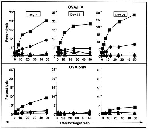 FIGURE 8. Induction of CTL responses to the subdominant peptide. Splenocytes prepared from mice given log-fold dilutions of OVA with or without IFA (200 μg represented by ▪, 20 μg by •, and 2 μg by ♦, respectively) were in vitro restimulated with APC pulsed with 10−6 M KVVRFDKL (the subdominant peptide). Five days later, a standard 51Cr in vitro CTL assay was performed using EL4 target cells pulsed with the same peptide. Controls included mice given PBS or IFA only (▴). Data are from one representative experiment of three, all of which showed the same pattern.