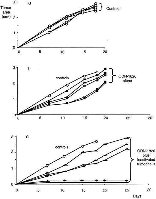 FIGURE 8. Vaccination with ODN-1826 without DC. Untreated mice (a, ○) died at day 18. Single s.c. injections of 50 μg/ml ODN-1826 alone (b, ▪, p = 0.173) or as adjuvant for inactivated tumor cells (c, ▴, p < 0.05) were given to five mice per group. Seven days later, mice were challenged with 5 × 105 tumor cells ipsilaterally. Each curve represents tumor formation of one mouse. The mean tumor size of control mice (a) is shown as reference (○) in b and c. One representative experiment of three (n = 30) is shown.