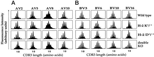FIGURE 1. Profiles of the fluorescent AV-AC (A) and BV-BC (B) semiquantitative PCR products obtained from splenocytes of wild-type, H-2K°/°, H-2D°/°, or double KO C57BL/6 mice. The CDR3 patterns shown are representative of the 21 BV and 22 AV combinations tested. The fluorescence intensity is represented in arbitrary units as a function of the CDR3 size in amino acids.