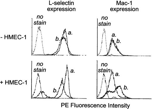 FIGURE 6. Flow cytometry data of L-selectin and Mac-1 expression on human granulocytes. Compared with experiments in which no peptide was added (a); addition of SLIGRL (b) resulted in L-selectin shedding and increased Mac-1 expression only when endothelial cells (HMEC-1) were present.