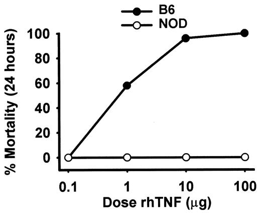 FIGURE 5. Survival responses to increasing doses of rhTNF-α in d-galactosamine-sensitized B6 and NOD mice. Mice were challenged i.p. with 8 mg d-galactosamine and increasing doses of rhTNF-α. Survival was evaluated during the next 72 h. Values represent the percent mortality of between 11 and 55 mice per dose of rhTNF-α at 24 h. The differences in survival between, NOD and B6 mice were highly significant (p < 0.001 by χ2 analysis). At no dose of rhTNF-α was lethality seen in NOD mice.