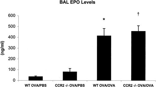 FIGURE 3. Cell-free BAL fluid from OVA/PBS (n = 3) and OVA/OVA (n = 10) WT and CCR2−/− mice was analyzed for EPO activity. Data are expressed as the mean EPO level ± SEM and are representative of two separate experiments. Significant differences: ∗, p = 0.01, comparing WT OVA/PBS vs WT OVA/OVA; †, p = 0.003, comparing CCR2−/− OVA/PBS vs OVA/OVA.