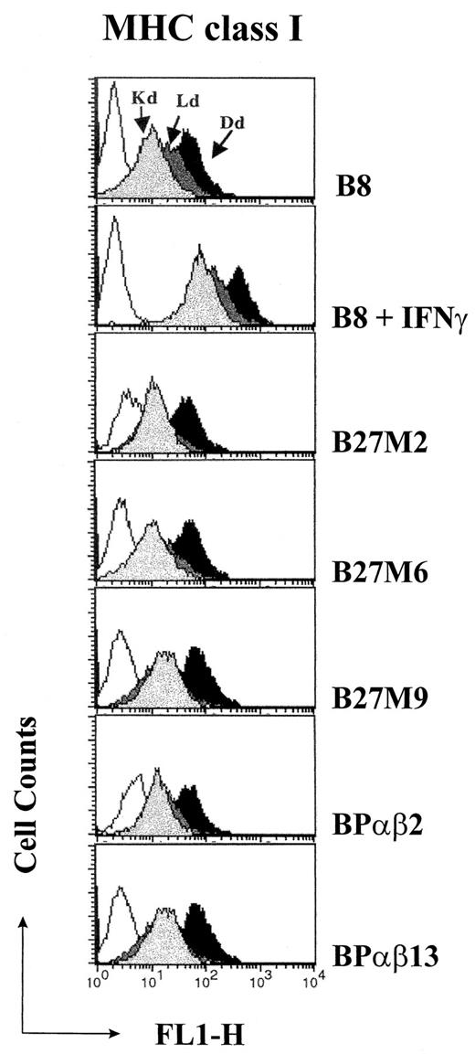 FIGURE 3. Flow-cytometric analysis of MHC class I cell surface expression of untreated or IFN-γ-stimulated B8 cells; the LMP2/LMP7/MECL-1 triple transfectants B27 M2, B27 M6, and B27 M9; as well as the PA28α/β transfectants BPαβ2 and BPαβ13. Cells were stained for the H-2Kd, H-2Ld, and H-2Dd class I molecules, as indicated, followed by a FITC-conjugated sheep anti-mouse Ig secondary Ab (filled curves). The open curves are stainings with the secondary Ab alone.