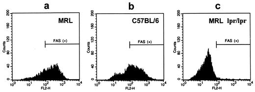 FIGURE 3. Expression of Fas (CD95) on cultured murine DC. FACScan analysis of Fas expression on cultured DC obtained from wild-type MRL/MPJ (a), C57BL/6 (b), or MRL/MPJ lpr/lpr (c) mice revealed that DC derived from both wild-type MRL/MPJ and control C57BL/6 mice demonstrated a strong expression of Fas molecules, while DC generated from MRL/MPJ lpr/lpr mice had no Fas expression.