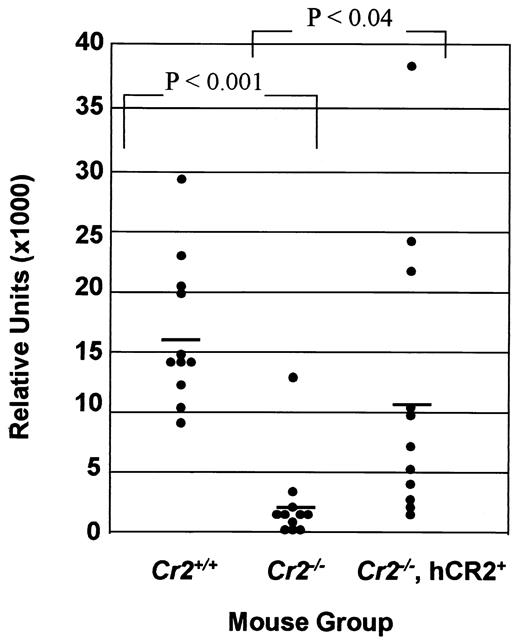 FIGURE 6. Increased IgG1 titers in Cr2−/− hCR2+-transgenic mice following injection of SRBC demonstrates partial reconstitution of humoral immunity. Mice were injected with 1 × 107 SRBC at day 0 and day 29 and then bled on day 36. To determine the levels of Ab to SRBC, individual mouse sera were analyzed in quadruplicate, and the average relative units were plotted above. Age-matched mouse groups (with means ± SEM of responses) include the following: Cr2+/+ (C57BL/6 wild-type; 16,745 ± 1,617), Cr2−/− (hCR2−; 2,748 ± 1,048), and Cr2−/− (hCR2+; 10,773 ± 3,101). The latter two groups are F3 littermates (n = 11 for each group). The Wilcoxon test was used to determine the p values.
