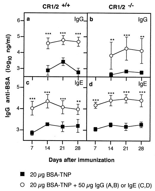 FIGURE 2. Normal IgG2a- and IgE-mediated enhancement in CR1/2−/− mice. Groups of five CR1/2+/+ (left) or CR1/2−/− (right) mice were injected with 20 μg of BSA-TNP alone or in complex with 50 μg of IgG2a anti-TNP (a and b) or 50 μg of IgE anti-TNP (c and d). OVA (20 μg) was given to all mice as a specificity control. On the indicated days mice were bled, and the IgG anti-BSA and anti-OVA (data not shown) titers were measured by ELISA. Data are representative of three independent experiments. ∗∗, p < 0.01; ∗∗∗, p < 0.001.