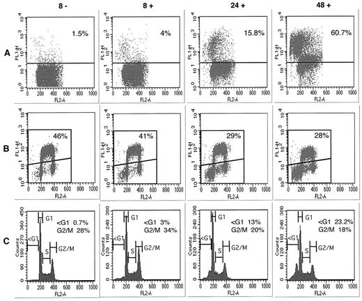 FIGURE 2. TGF-β1 induces apoptosis from the G1 and G2/M phases of the cell cycle. A, Cell death after TGF-β1 treatment was measured at the time points indicated by flow cytometry and TUNEL assay (FL1-H) and counterstaining with PI (FL2-A). The percentage of TUNEL-positive cells is indicated. B, Flow cytometric analysis after TGF-β1 treatment employing BrdU staining (FL1-H) and PI counterstaining (FL2-A). The percentage of BrdU-staining cells at each time point is indicated. C, Cell cycle analysis after TGF-β1 treatment. Cells were analyzed for DNA content by PI staining (FL2-A) and flow cytometry. Gates employed to ascertain cell cycle distribution and the percentage of cells with a sub-G1 (<G1) and G2/M DNA content are shown.