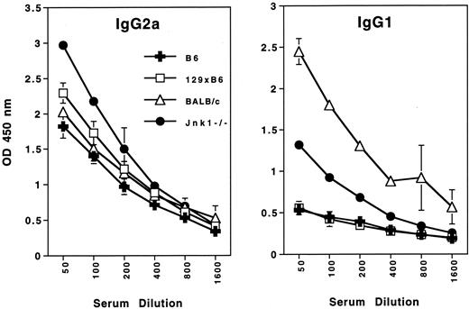 FIGURE 5. Ig isotypes in Jnk1−/− mice following L. major infection. Serum was obtained from mice 7 wk after infection in the right foot with 2 × 106 stationary phase L. major promastigotes. L. major-specific Ig isotypes were measured in each serum sample using isotype-specific ELISAs as described in Materials and Methods. Plots show the OD 450 nm readings obtained for Leishmania-specific IgG2a and IgG1 isotype ELISAs at different dilutions of serum. For each group of mice, plots show the mean OD ± SE, with n = 4.