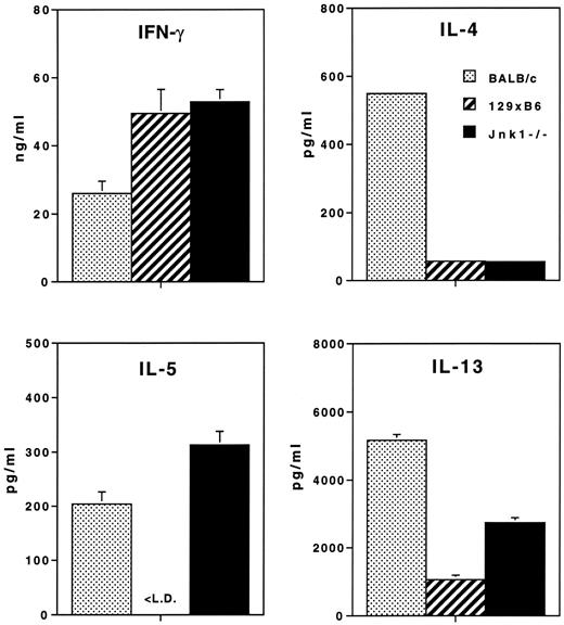 FIGURE 6. L. major-infected Jnk1−/− mice produce Th2-type cytokines. Mice were infected in both feet with 2 × 106 stationary phase L. major promastigotes and 4 wk later popliteal and inguinal lymph nodes were isolated and pooled for each group of mice (n = 2). Lymph node cell suspensions were set up in 24-well tissue culture wells at 8 × 106/ml in the presence of different concentrations of L. major lysate and 4 days later culture supernatant was collected for cytokine analysis. ELISAs for the detection of IFN-γ, IL-4, IL-5, and IL-13 were performed. Plots show the mean of duplicate wells ± SD obtained after stimulation with 50 μg/ml lysate. No cytokines were detected in any of the groups in the absence of lysate. <L.D., Below the limit of detection of the ELISA.