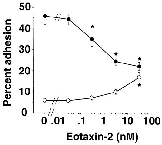 FIGURE 1. Effect of eotaxin-2 on eosinophil adhesion to VCAM-1 (•) and BSA (○). 51Cr-labeled eosinophils were added to the VCAM-1- or BSA-coated plate and incubated for 30 min at 37°C. Then eotaxin-2 was added to the appropriate wells and cells were incubated another 10 min. At the end of the incubation, nonadherent cells were rinsed away and adherent cells were lysed. Data are shown as mean ± SEM of three separate experiments. ∗, p < 0.05