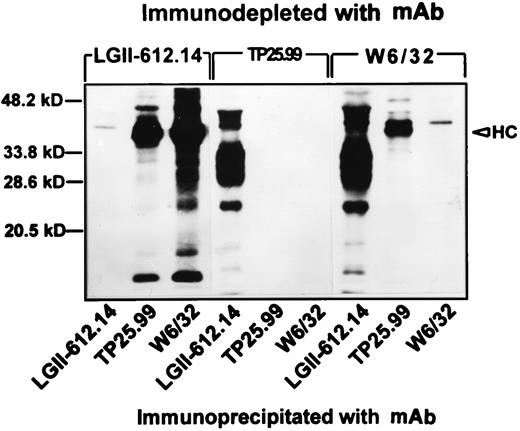 FIGURE 1. Structural relationship among the molecules recognized in a cultured human LKT13 B lymphoid cell extract by anti-HLA class I mAb TP25.99 and by mAb W6/32. A 1% Nonidet P-40 extract of [35S]methionine-labeled LKT13 cells was immunodepleted with mAb TP25.99 and anti-HLA class I mAb W6/32. Each immunodepleted extract was immunoprecipitated with insolubilized mAb TP25.99 and mAb W6/32. Ags were then eluted and analyzed by SDS-PAGE in a 12% polyacrylamide gel in the presence of 2-ME. Gels were then processed for fluorography. Immunodepletion and immunoprecipitation with anti-HLA class II mAb LGII-612.14 was used as a specificity control.