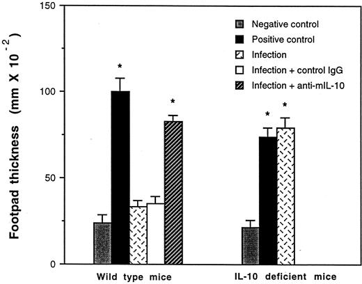 FIGURE 8. Suppression of DTH reaction by S. mansoni infection in mice. C57BL/6 wild-type or IL-10 gene-deficient mice were infected with 500 cercariae via the abdominal skin. On days 2 and 5 after infection, all of the wild-type mice received 100 μg of monoclonal rat anti-mouse IL-10 or control rat IgG injected i.p. On day 5 after infection, both wild-type and IL-10 gene-deficient mice were immunized with 2 × 107 BALB/c spleen cells injected s.c. into each flank. Six days later mice were challenged with 107 BALB/c cells (in 50 μl) injected into each hind footpad. About 24 h after the challenge, footpad thickness was measured, and values were expressed as mm × 10−2. Negative controls are mice that received only the challenge dose. Positive controls are mice that received both immunization and challenge, but no infection. ∗, Statistically significant (p < 0.01) compared with controls. These results are representative of one of three similar experiments using seven mice per group.