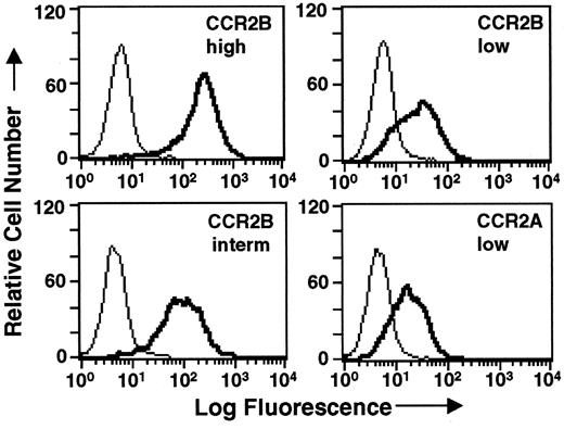 FIGURE 1. Flow cytometric analysis of Jurkat T cell transfectants stained with anti-MCP-1R mAb (thick lines) and an isotype control mAb (thin lines). The mean fluorescence intensity (MFI) of the CCR2Bhigh and CCR2Bint transfectants are about 35- and 17-fold greater, respectively, than the MFI of cells stained with an isotype-matched control mAb. The MFI of the CCR2A and CCR2Blow transfectants are both approximately 4-fold greater than the MFI of cells stained with an isotype-matched control mAb.