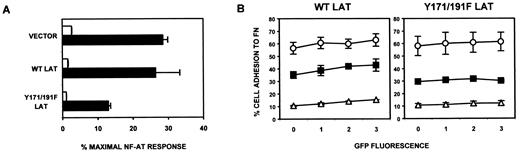 FIGURE 6. Expression of the Y171/191F LAT mutant in Jurkat T cells inhibits CD3-dependent activation of NF-AT luciferase but not CD3-dependent activation of β1 integrins. A, Jurkat cells were cotransfected with EGFP bicistronic vectors containing HA-tagged wild-type LAT or Y171/191F LAT and the NF-AT luciferase reporter plasmid. Cells were left unstimulated (□) or stimulated with immobilized OKT3 (▪) for 5 h at 37°C. Cells were then lysed and assayed for luciferase expression in relative light units as described in Fig. 2B. Results are presented as the percentage of maximal NF-AT luciferase activity generated by stimulation of cells with PMA + ionomycin following standardization of transfection efficiency by flow cytometric assessment of EGFP expression. B, Jurkat T cells were transiently transfected with EGFP bicistronic vectors containing HA-tagged wild-type (WT) LAT or Y171/191F LAT and then analyzed for adhesion to FN as described in Figs. 4 and 5. Adhesion to FN was assessed following no stimulation (▵) or following stimulation for 10 min at 37°C with PMA (○) or CD3 cross-linking (▪). The results shown are from one representative experiment of a minimum of at least three independent experiments.