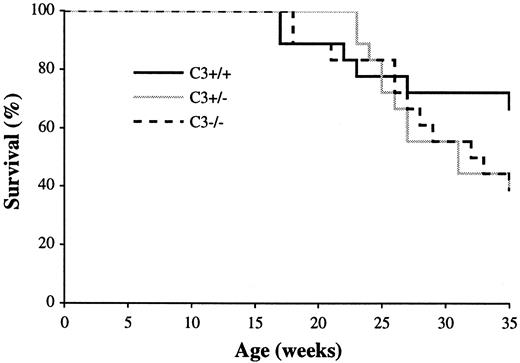 FIGURE 7. Survival of MRL/lpr mice of varying C3 genotypes. At 28 wk of age, MRL/lpr C3+/+ mice had less mortality compared with the other two genotypes, although this was not statistically significant (n = 18 in each group).